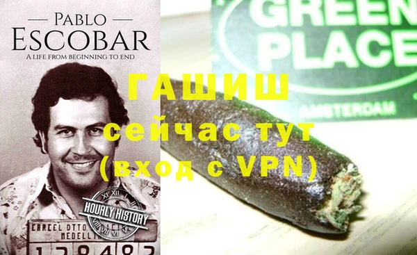 стаф Волосово