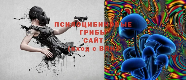 стаф Волосово