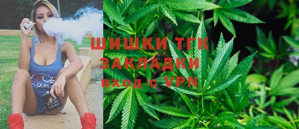стаф Волосово