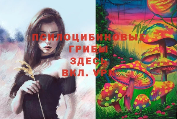 стаф Волосово