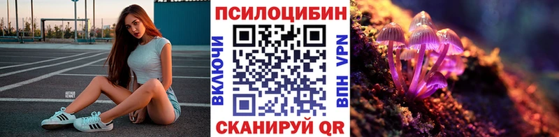 Галлюциногенные грибы Psilocybine cubensis  мориарти телеграм  Черняховск  mega онион 