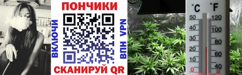 Каннабис конопля  Черняховск 